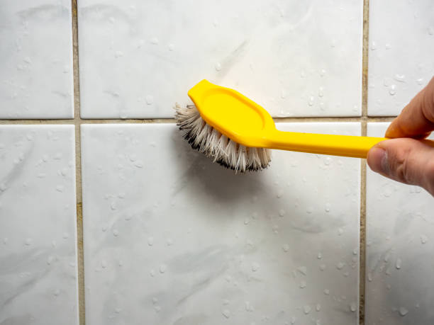 Best Black Mold Removal  in Woodburn, IN