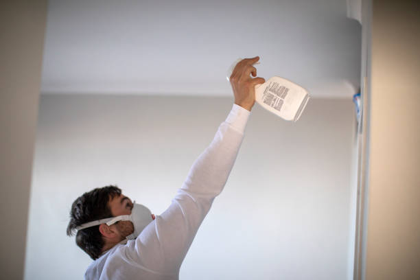 Best Local Mold Removal Service  in Woodburn, IN