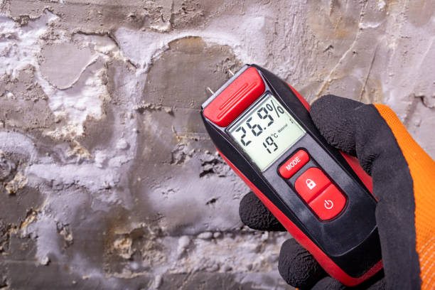 Professional Mold Removal in Woodburn, IN